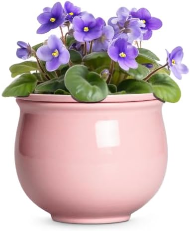 8 Inch Ceramic Self Watering Planter with Absorbent Inner Pot, Pink by Teagas