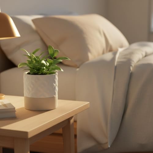 Nihow Self Watering Ceramic Plant Pot, 4.5 Inch, Matte White & Brown Star - Image 7
