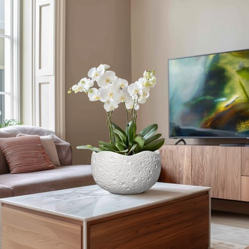 10 Inch Plant Pot - Ceramic Planter for Indoor Outdoor, Round Bonsai Pots, Decorative Flower Pots with Drainage Hole, Modern Unique Planters, House Decor, Home Gifts, White - Image 5