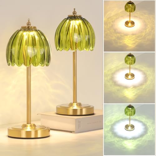 Shenmoyl Set of 2 Tulip Table Lamp with 5000mAh Battery & Touch Control, Cordless Table Lamp with 3 Colors, Dimmable Rechargeable Table Lamps for Bedroom, Living Room, Entryways (Green Tulip) by Shenmoyl