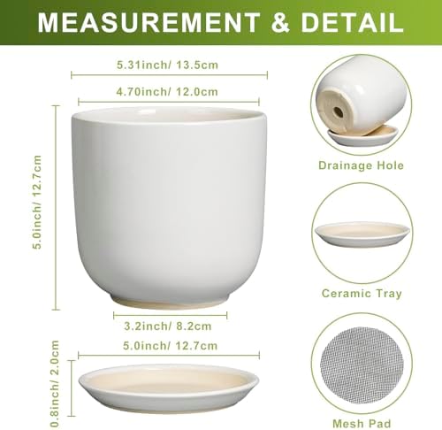 Indoor Plant Pot 5 Inch - Round Ceramic Planter for Succulent Plants with Drainage Hole and Saucer, Modern Home Decor, White - Image 3