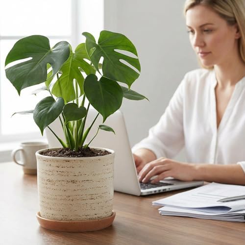 5.8 Inch Ceramic Plant Pot with Drainage Hole & Separate Saucer - Image 3