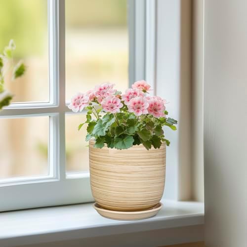 Ceramic Plant Pot 5 Inch - Modern Round Succulent Planter for Indoor Plants with Drainage Hole and Saucer, Office Home Room House Decor, Yellow - Image 2
