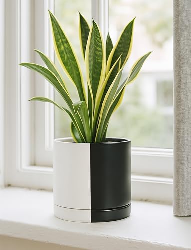 D'vine Dev 8.2 Inch Ceramic Planter Pot, Black White Split, 94-O-D-0 - Image 5