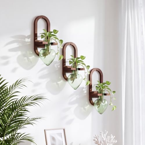 Hushee 3 Set Plant Propagation Station for Wall Hanging with Wooden Stand - Image 2