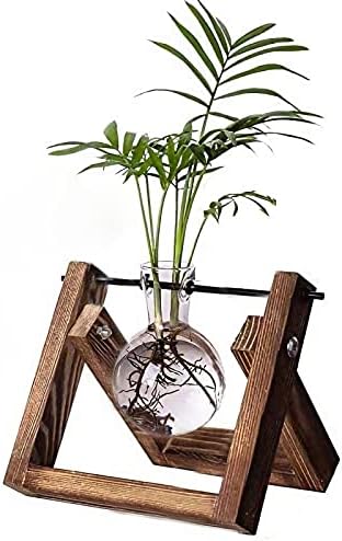 Kingbuy Plant Propagation Station Bulb Vase, 1 Bulb Vase by Kingbuy