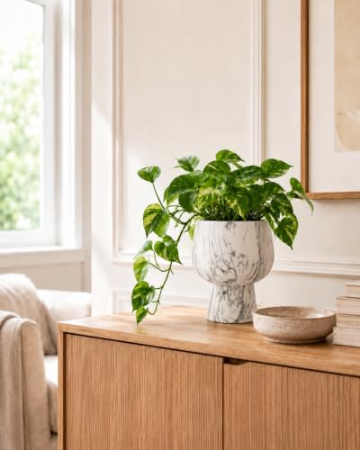 Self Watering Pots for Indoor Plants, 6 Inch Ceramic African Violet Pot - Image 5