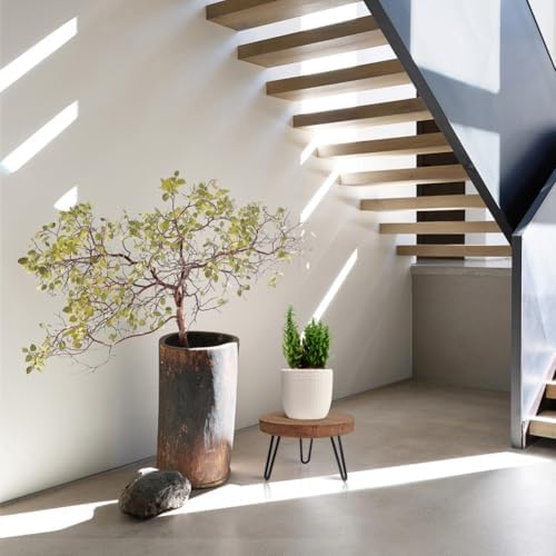 OBTAIN Plant Stand Indoor Outdoor, Wooden plant Stool, Mid Century Plant Stand for Indoor Plants, Wood Modern Plant Holder Rattan Flower, Low Short Boho Rustic Planter Stand Fit 5-15 Inch Pot(M) - Image 5