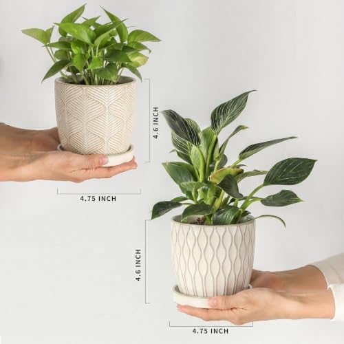 Nihow Ceramic Plant Pots, 4.75 Inch, White, Set of 4 - Image 2
