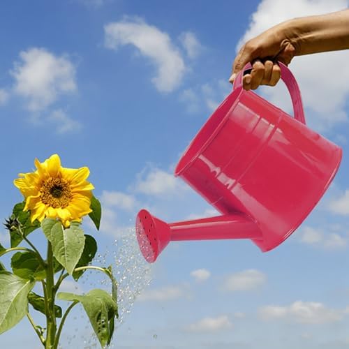 Galvanized Iron Watering Can, Tinplate Watering Kettle Small Flower Pot Plant Flower Pot, Durable Metal Flower Pot, Ideal for Gardening and Home Decor (I) by Unknown
