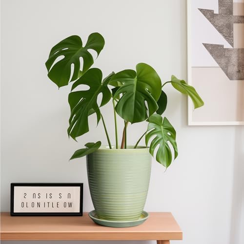 Ceramic Pots for Plants - Modern Round 8 Inch Planter with Drainage Hole and Plant Saucer for Flower Indoor Outdoor, Home Decor, House Warming Gifts, Green - Image 2