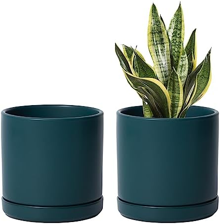 D'vine Dev 2-Pack Ceramic Pots with Saucers, Teal, 6 in, 94-V-C-9 by DvineDevPlanterPotsandStand