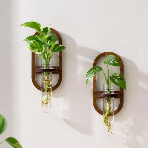 Artilady Plant Propagation Station Wall Hanging, Planter Terrariums Tube by Artilady