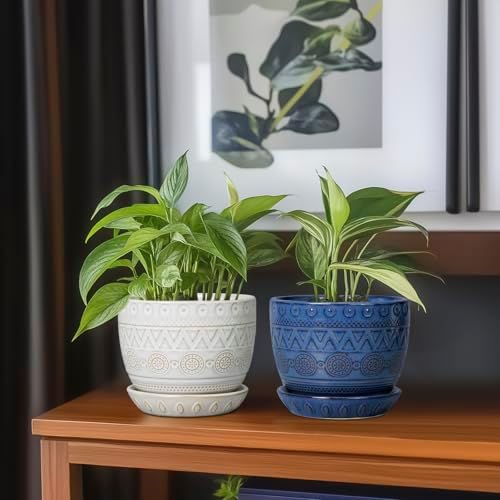 G EPGardening Pot for Plants, 5 Inch Ceramic Planter, Blue - Image 7