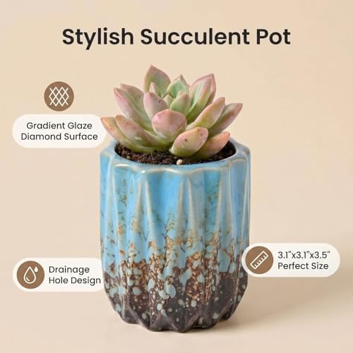 Succulent Plant Pots Ceramic Plant Pots and Drainage Hole Bonsai Planter Small Flower Pots for Indoor Outdoor Use for Home Office Garden Decoration,Plants Not Included (Blue B) - Image 2