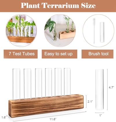 KAXYEW Plant Terrarium with Wooden Stand, Plant Propagation Tubes, 7 Test Tubes Glass Planter for Hydroponic Plant Cuttings Home Office Décor - Image 5
