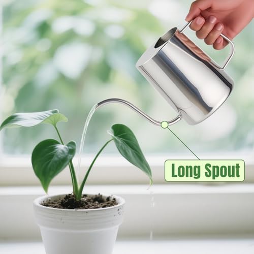 Doseno Small Watering Can for Indoor Plants, Metal, Long Spout, 34 oz/1 L - Image 3