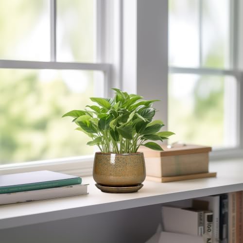 G EPGardening Ceramic Pots for Plants, 4 Inch, Speckled Brown - Image 6