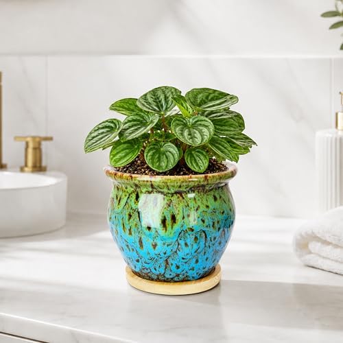 Plant Pots, 4.5 Inch Ceramic Pots for Plant with Drainage, Small Planters - Image 5