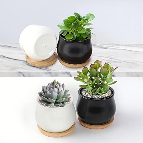 SHECIPIN 12 Pack Succulent Plant Pot, Mini 2.6 inch Ceramic Flower Planter Pot with Bamboo Tray, Small Pots for Plants, Plants Not Included （White, Black） - Image 4
