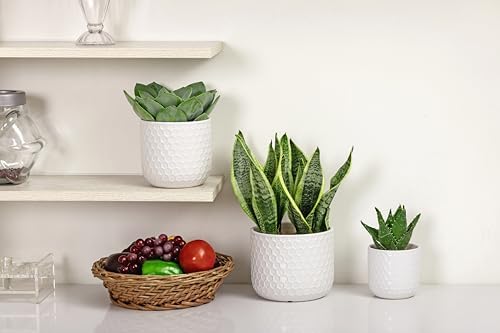 Docrin Plant Pots Indoor with Drainage: 6.4+5.3+4 Inch Ceramic Flower Pots for Plants - Set of 3 Modern Decorative Planters for House/Office/Gift - White Honeycomb - Image 5