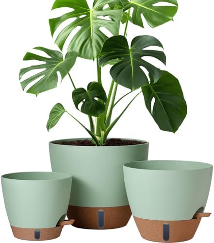 8/10/12 Inch Self Watering Pots for Indoor/Outdoor Plants with Drainage by Montresor