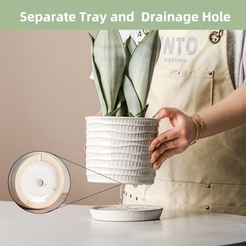 5.8 Inch Plant Pot: Ceramic Planter with Drainage Hole & Saucer - Cream White Flowerpot for Indoor & Outdoor Plants - with Separate Tray for Home & Office - Wave Embossed Design - Image 3