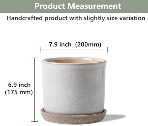 8 Inch Ceramic Plant Pot with Drainage Hole & Separate Saucer - Image 2