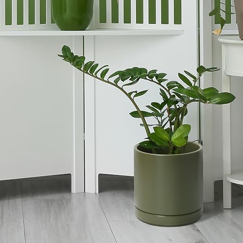 D'vine Dev 8.2 Inch Ceramic Planter Pot, Olive, 94-O-D-J - Image 6
