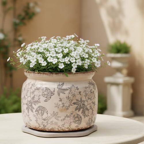 Farmhouse Ceramic Plant Pots with Decorative Saucer, Gifts for Plant Lovers - Image 2