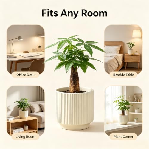 Ceramic Pots 5.1 Inch Fluted Beige Ceramic Planters Round Flower Pots with Drainage Hole for Desk Modern Office Living Room Table Shelf Home Indoor Outdoor Decor(Beige, Medium) - Image 5