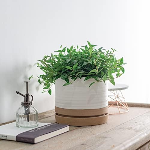 HERDUK 8 Inch Pots for Plants, Ceramic Planter Pot with Drainage Hole & Saucer, Indoor or Outdoor Cylinder Round Planter Pot, Matte White & Beige - Image 4