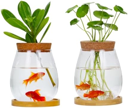 Desktop Plants Terrarium Propagation Station Hydroponic Planters Retro Oval Glass Vase with Lid and Stand Home Office Decoration Gifts 2 Pack by CUSNESTAL