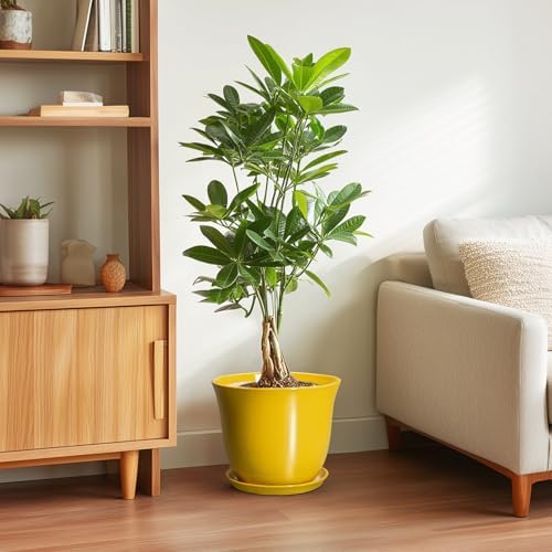 Ceramic Planter - 10 Inch Plant Pot for Indoor Outdoor, Round Flower Pots with Drainage Hole and Saucer, Large Plant Pot, Modern Planters, Home Room Decor, Gifts for Plants Lovers, Yellow - Image 4