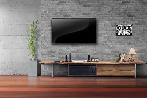 Funny Sarcastic Engineer Office Wall Sign Can Explain It To You But Cant Understand It For You Plaque 8x12 in Metal Sign Room Decor Gift For Friends - Image 4