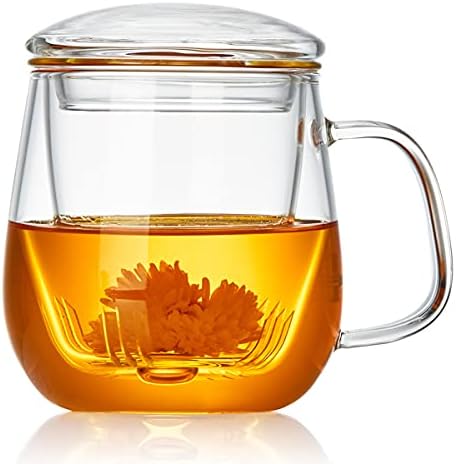 DOPUDO Glass Tea Cup with Infuser and Lid, 17.6oz/520ml Large Borosilicate Teacup,Tea Glass, Clear Mug for Loose Leaf Tea, Blooming Tea, Microwave & Dishwasher Safe - Tea Maker Gift for Birthday. by DOPUDO