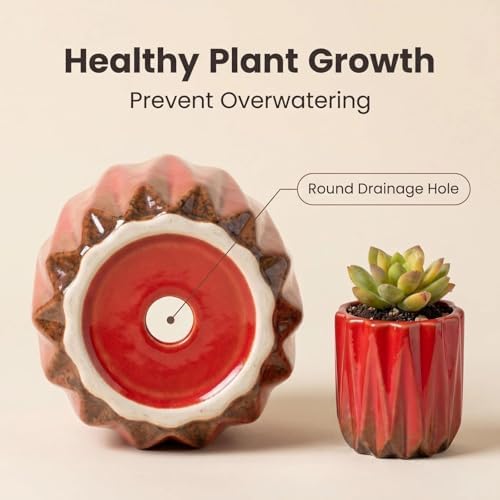 Succulent Plant Pots Ceramic Plant Pots and Drainage Hole Bonsai Planter Small Flower Pots for Indoor Outdoor Use for Home Office Garden Decoration,Plants Not Included (Red B) - Image 3