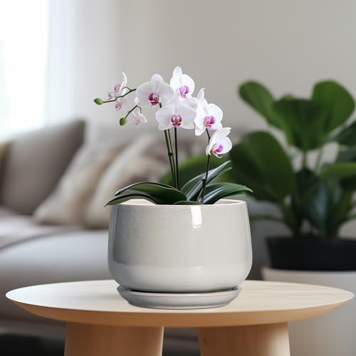 G EPGardening Ceramic Plant Pots, 7 Inch Plant Pot, Light Grey - Image 2