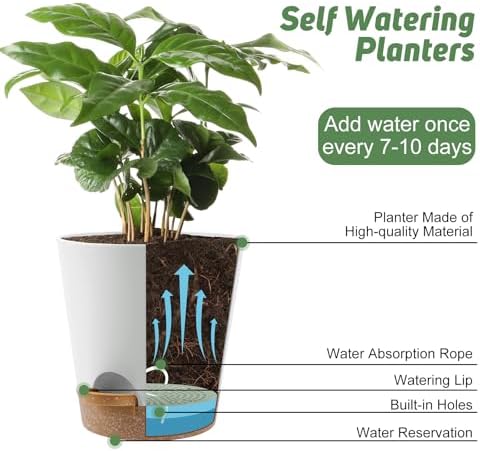 YNNICO 8-Inch Plant Pots, Self-Watering Planters with Drainage Holes & Saucers for Indoor and Outdoor Plants (2-Pack, White) - Image 5