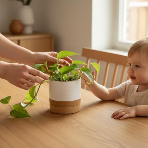 HASENSE 6 Inch Indoor Plant Pot, Ceramic Flower Planter with Drainage Hole and Saucer, Modern Pots for Plant with Two-Tone Design, Perfect for Wedding Birthday Gift, White-Brown - Image 2