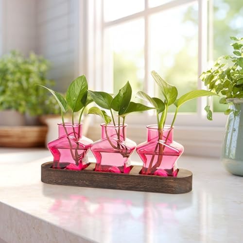 XXXFLOWER Plant Propagation Station with Wooden Stand 3 Pink Star Jars - Image 3