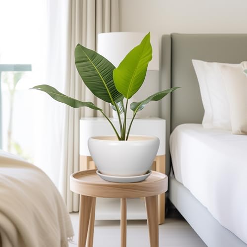 Ceramicfor Ceramic Planter - 9 Inch Plant Pot Indoor with Drainage Hole and Saucer for Outdoor Plants Mid-Century Round Planter Modern Flower Pot for House Garden White - Image 7