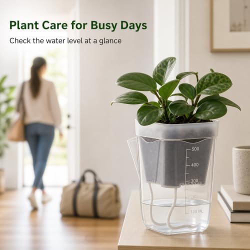 8 Pack 4 Inch Clear Self Watering Pots for Indoor Plants - Image 7