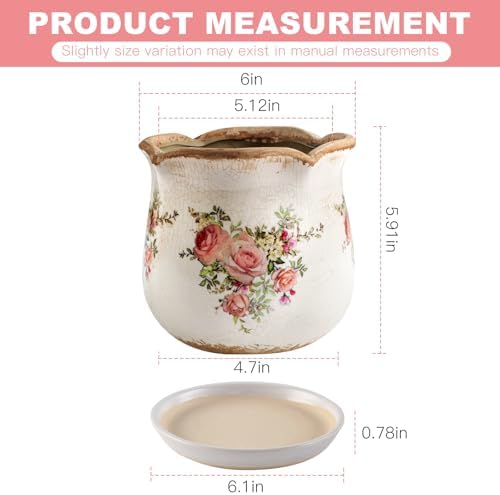 Ceramic-Planters-for-Indoor-Plants with Saucer, 6 inch Vintage Ice Crackle Glaze Plant Pots with Drainage Holes, Decorative Flower Pots for Outdoor Garden Home Decor, Tuscan Pot for Plant - Image 4