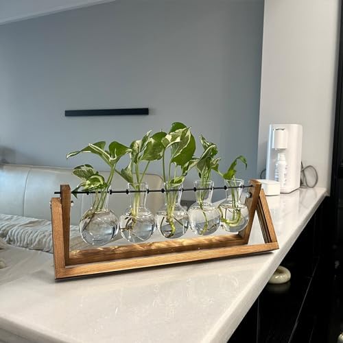 Kingbuy Plant Propagation Station with 5 Bulb Vases Retro Wooden Stand Desktop Glass Planter Terrarium for Hydroponics Plants Home Office Décor - Image 6
