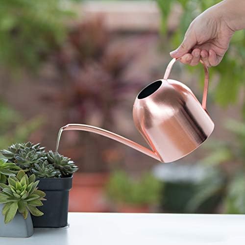Rose Gold Watering Can for Indoor Plants, 450ml/15oz - Image 4