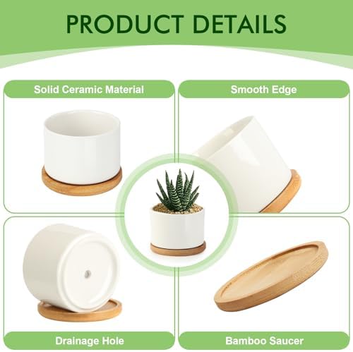 ZOUTOG 6 Pack 3.1" Ceramic Succulent Pots,White Planter with Drainage Tray - Image 3