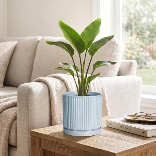 Ceramic Flower Pots, 6 Inch Planters with Saucer, Light Blue - Image 5