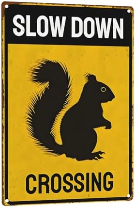 Metal Sign Squirrel Slow Down Crossing Sign Aluminum Metal Tin Signs Warning Sign For Fence Outdoor Yard Wall Decor 8x12 Inch by C-CHAIN