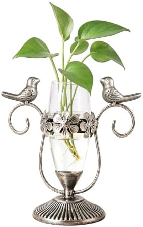 Vintage Hydroponics Glass Propagation Vases for Plants, 8.26"×7.9" by POXOHO